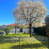 Villa/Villa Bifamiliare/Casa singola - Novara(NO)