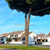 Villetta schiera/Villa - Casalbeltrame(NO)