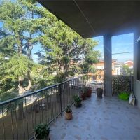4 o più locali - Novara(NO)