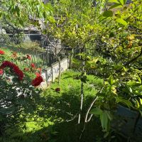 Villetta schiera - Novara(NO)