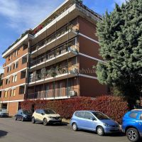 4 o più locali - Novara(NO)