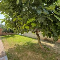 Villa/Casa singola - Nibbiola(NO)