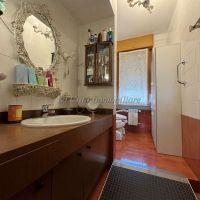 4 o più locali - Novara(NO)