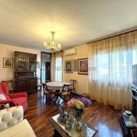 4 o più locali - Novara(NO)