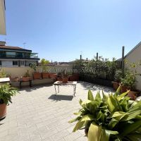 4 o più locali - Novara(NO)