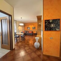 3 locali/Appartamento - Novara(NO)