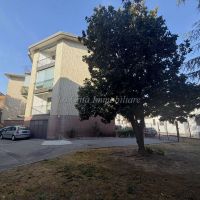 4 o più locali/Appartamento - Novara(NO)